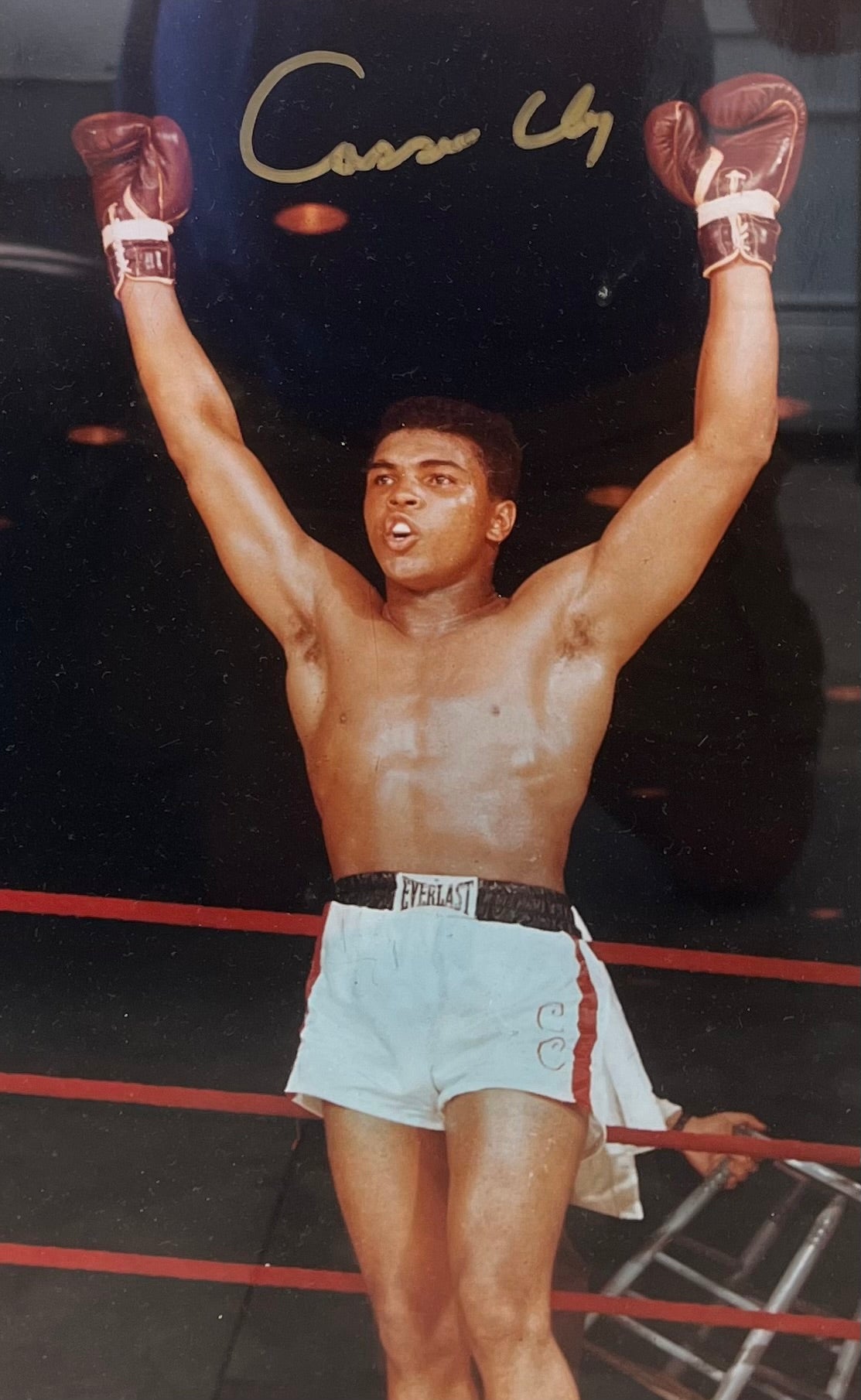 MUHAMMAD ALI SIGNED RARE  "CASSIUS CLAY" ICONIC BOXING PHOTO W/ JSA LOA- $1250 DELIVERED
